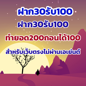 ฝาก30รับ100
