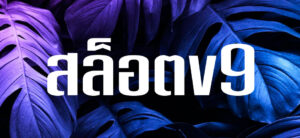สล็อตV9
