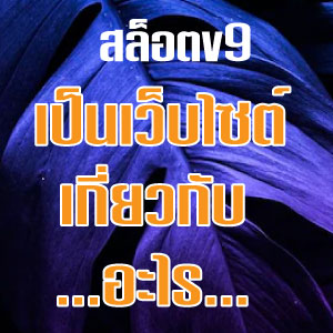 สล็อตV9web