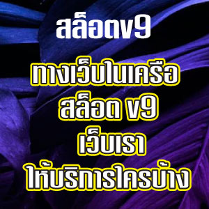 สล็อตV9slot